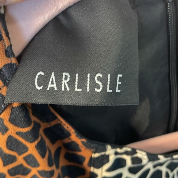 CARLISLE COLLECTION SLEEVELESS GIRAFFE LEOPARD PRINT A LINE STYLE DRESS SIZE 5/6 - Picture 11 of 12